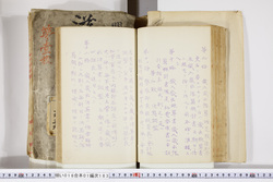 明い016011830006.jpg