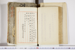 明い016011860002.jpg
