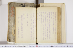 明い016012170005.jpg