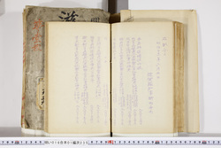 明い016012350002.jpg