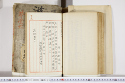 明い016012350003.jpg