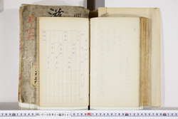明い016012470002.jpg