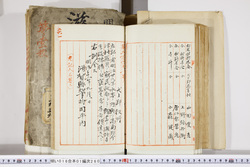 明い016012600002.jpg
