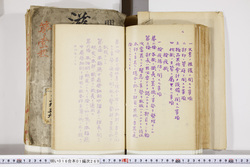 明い016012690002.jpg