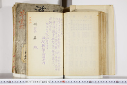 明い016012720004.jpg