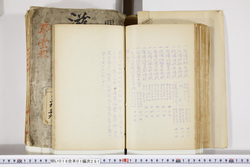 明い016012810002.jpg