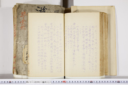 明い016012970003.jpg