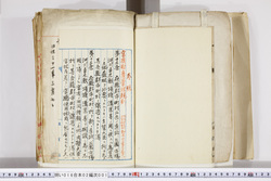 明い016020010004.jpg