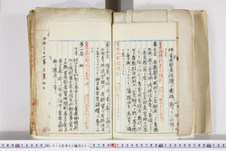明い016020010005.jpg