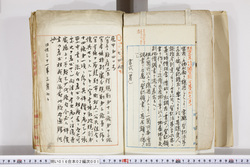 明い016020010006.jpg