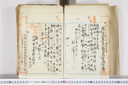 明い016020050002.jpg