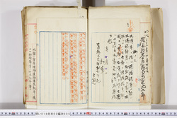 明い016020050003.jpg