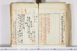 明い016020050004.jpg