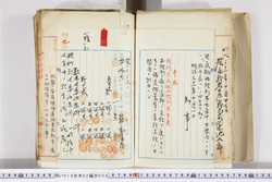 明い016020080002.jpg