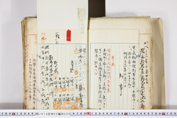 明い016020090002.jpg