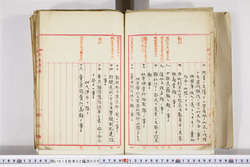明い016020090006.jpg