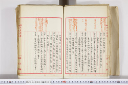 明い016020090010.jpg