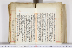 明い016020090015.jpg