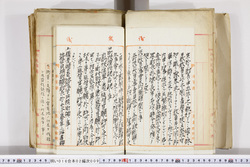 明い016020090016.jpg