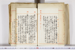 明い016020090017.jpg