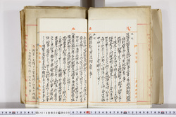 明い016020090018.jpg