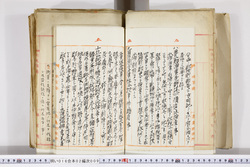 明い016020090019.jpg