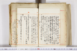 明い016020090020.jpg