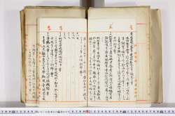 明い016020090021.jpg