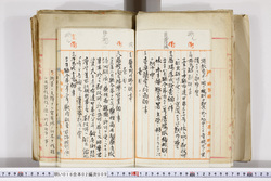 明い016020090022.jpg