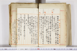 明い016020090023.jpg