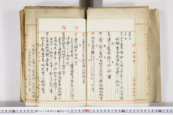 明い016020090024.jpg