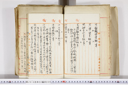 明い016020090025.jpg