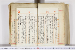 明い016020090026.jpg