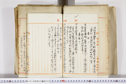 明い016020090027.jpg