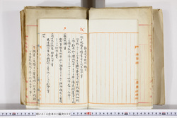 明い016020090028.jpg