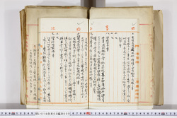 明い016020090029.jpg