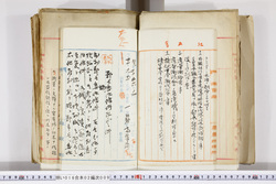 明い016020090030.jpg