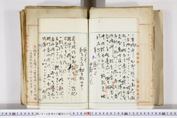 明い016020090031.jpg