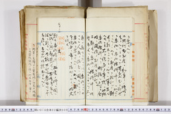 明い016020090032.jpg