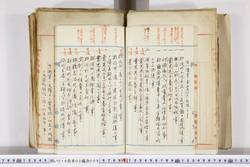 明い016020090036.jpg