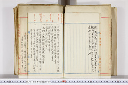 明い016020090040.jpg