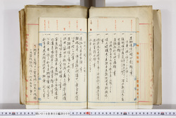 明い016020090042.jpg