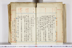 明い016020090043.jpg