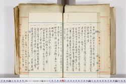 明い016020090050.jpg