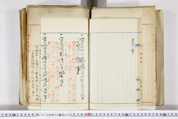 明い016020090055.jpg
