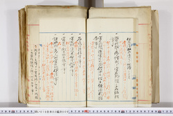 明い016020090056.jpg