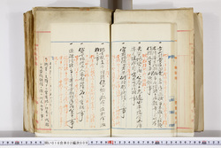 明い016020090058.jpg