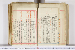明い016020090059.jpg