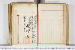 明い016020090061.jpg
