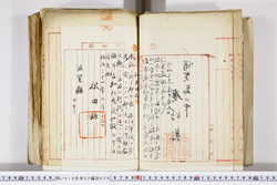 明い016020090062.jpg